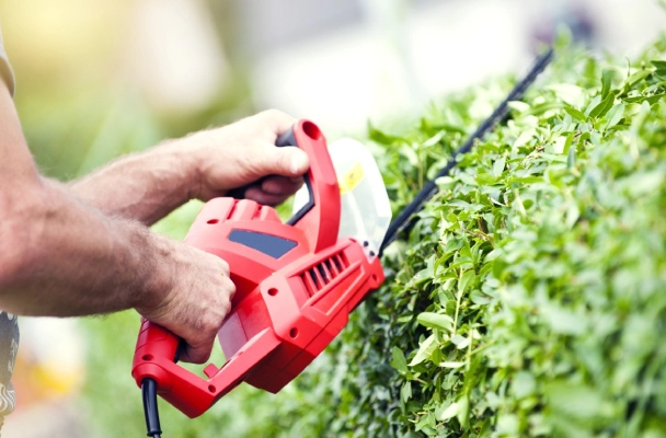 40 Kateqoriya