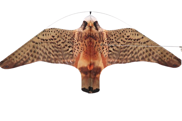 Quşqovanlar
